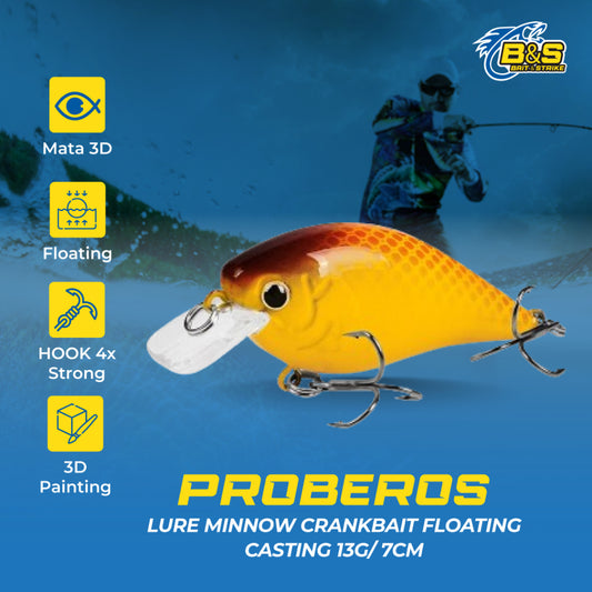 PROBEROS lure minnow Crankbait Floating 13g/7cm umpan pancing Casting MN133